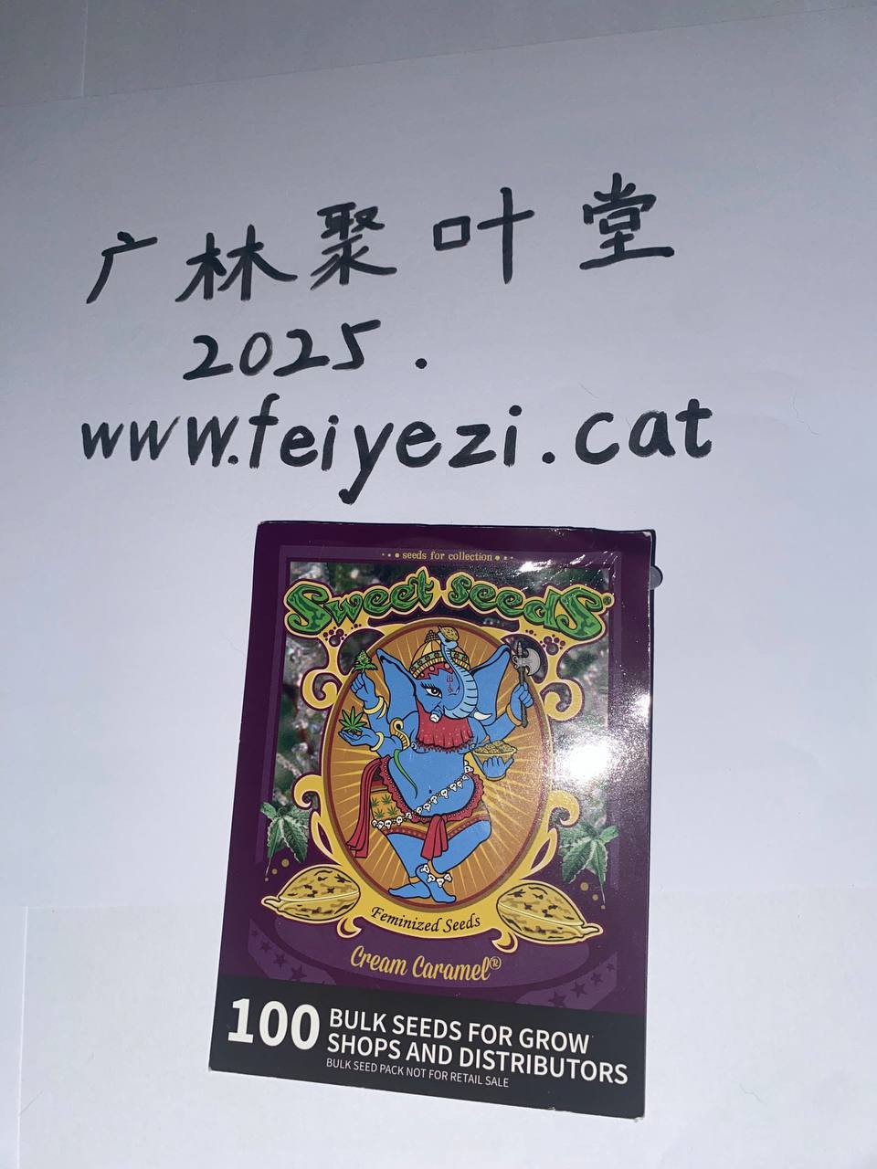 【邮寄种子】焦糖奶油（冠军品种）