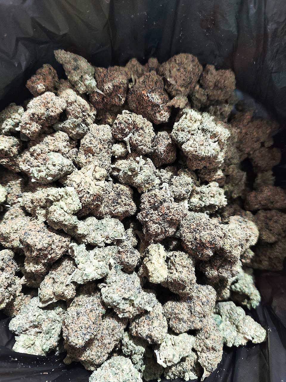 【长沙/武汉】紫雾甜心