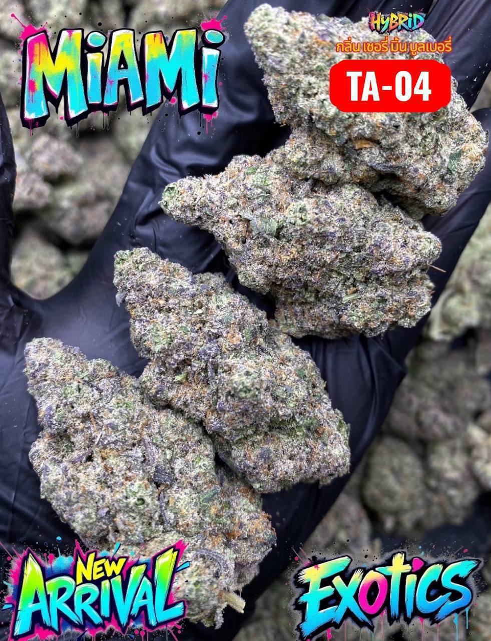 【江苏】迈阿密Miami