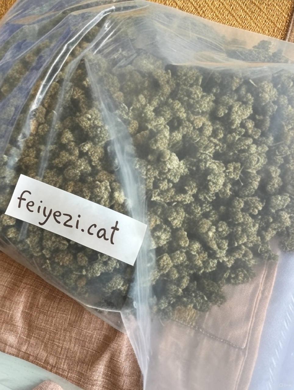 【南京】国产蓝莓