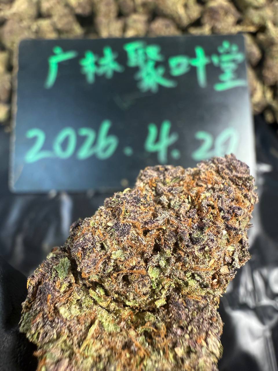 【杭州上海】