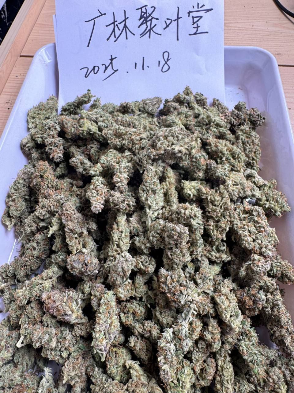 【石家庄】室内水培精修