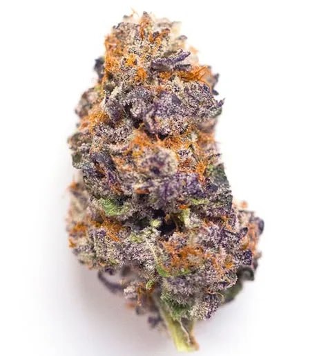 【北京】科罗拉多州