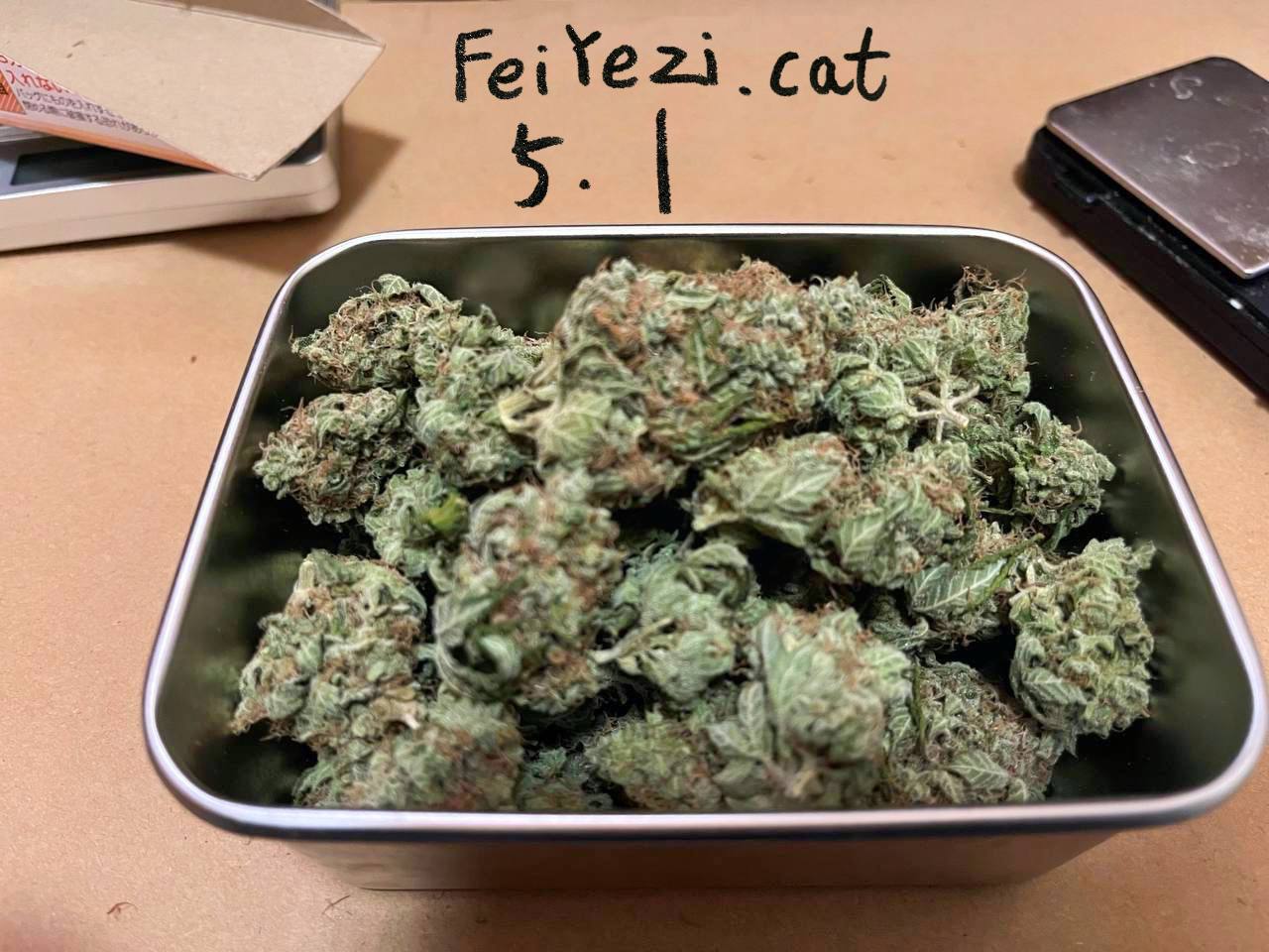 【武汉】皇家天行者