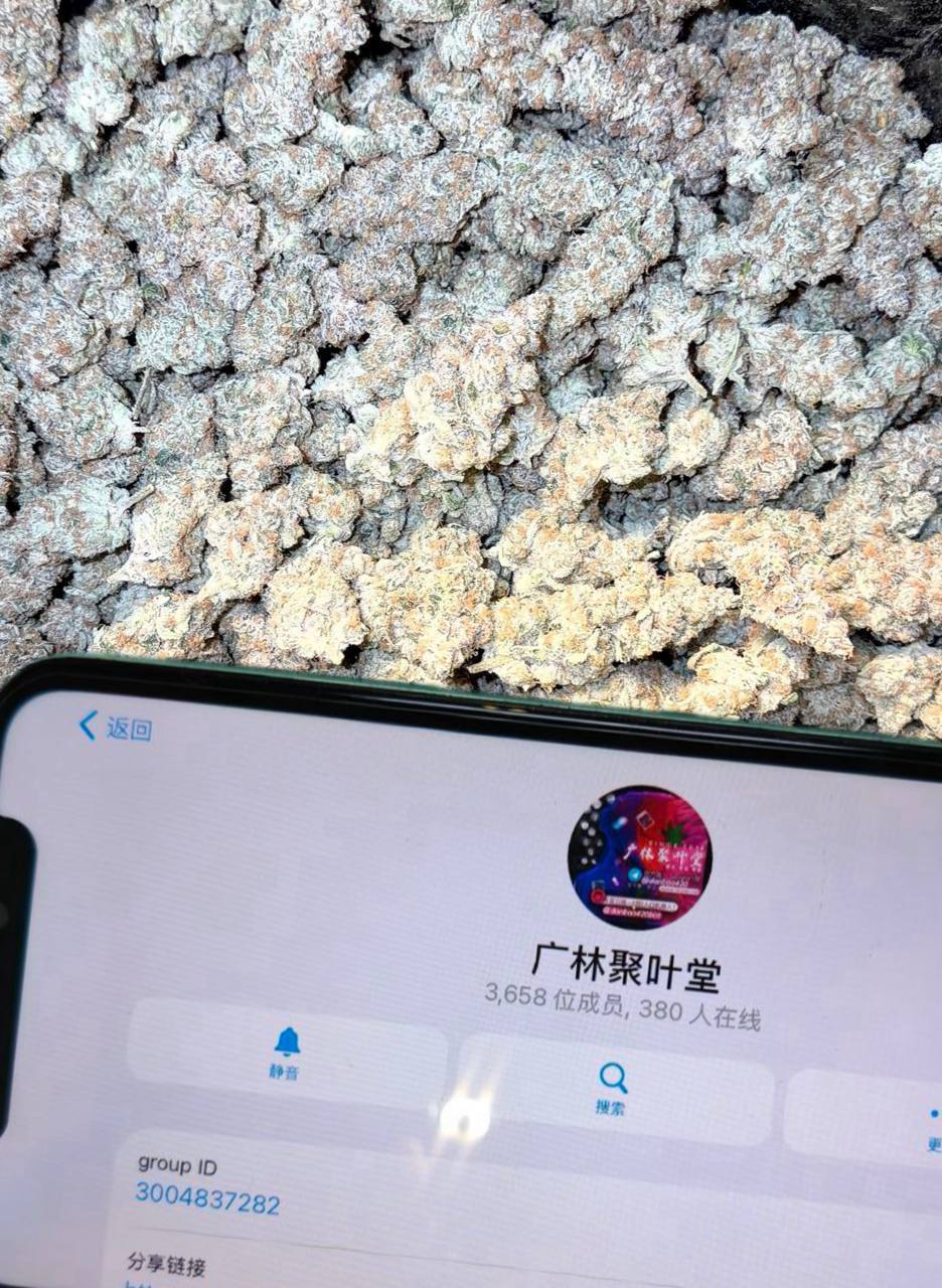 【武汉】进口 白金kush🍃