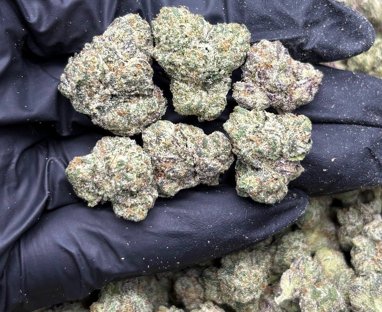 【香港】Strawberry Skrilla