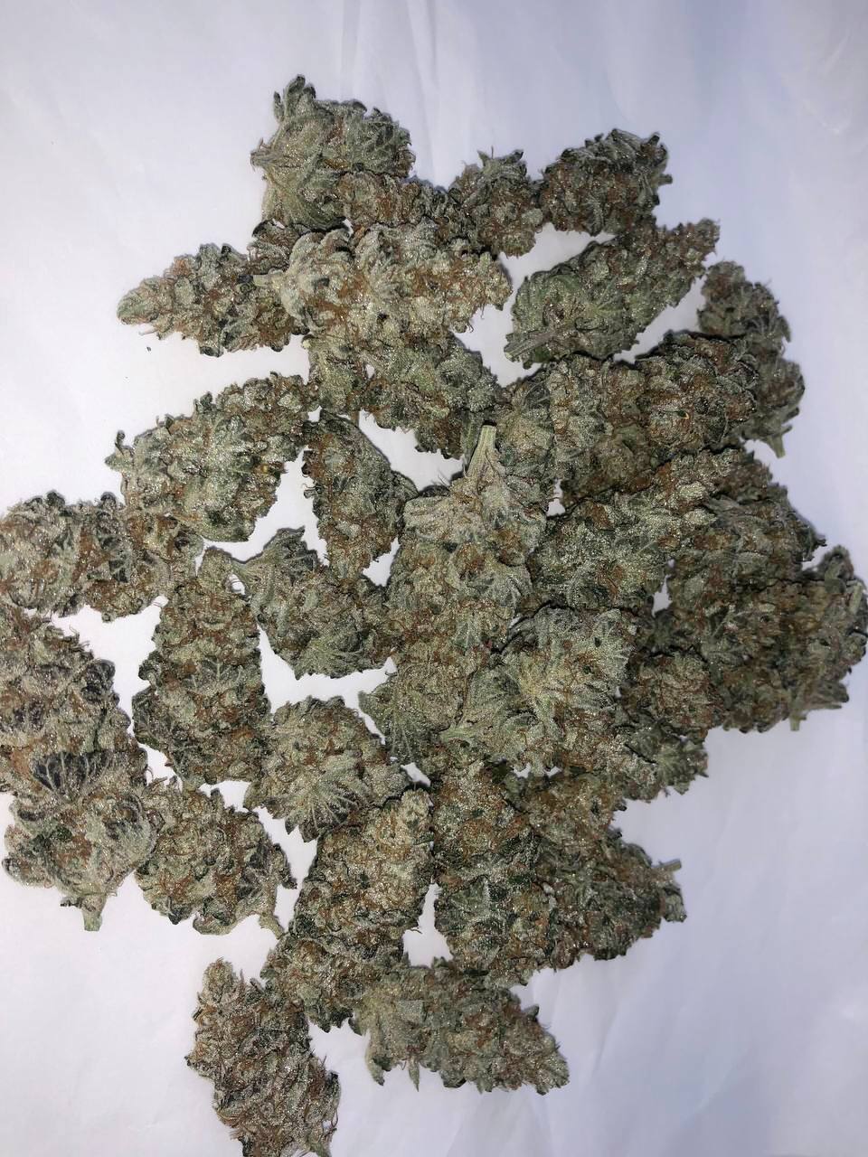 【郑州合肥】白朗茨