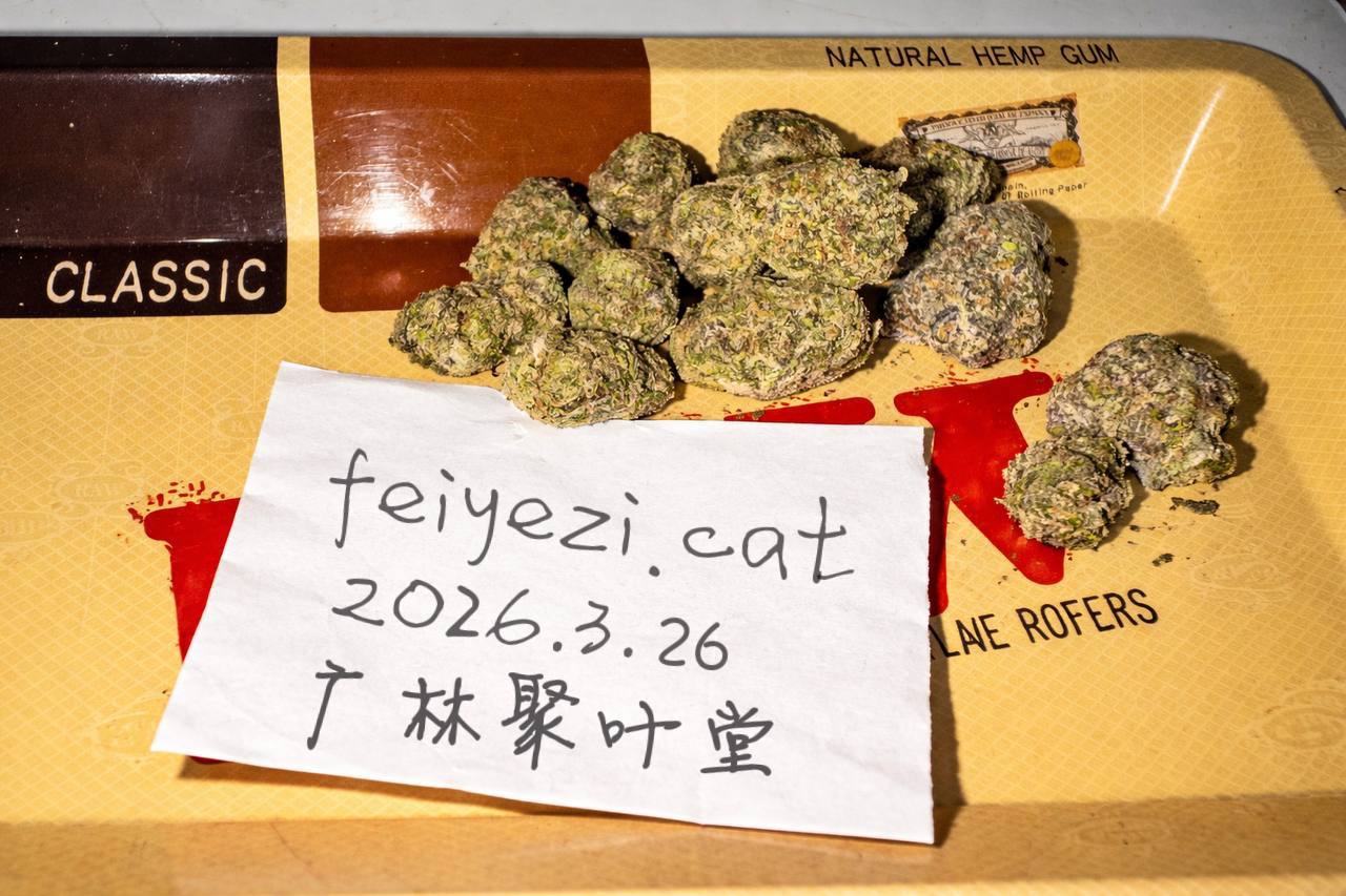 【长沙/武汉】🥦超级菠萝🍍 Super pineapple