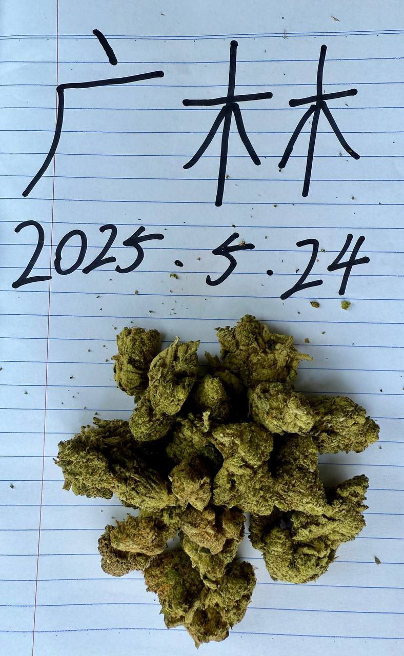 [成都]Haze Berry Seeds