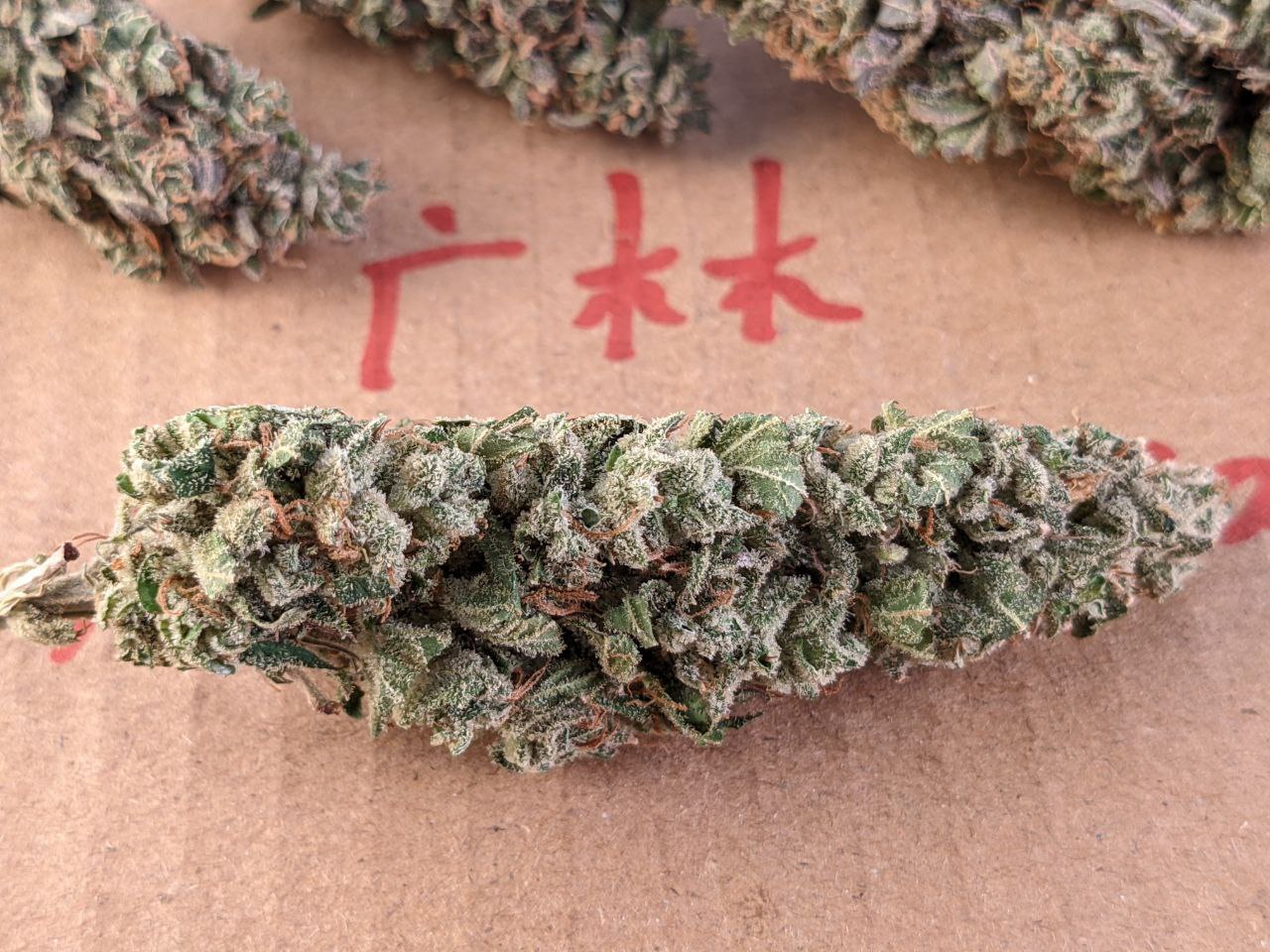 【成都】OG kush