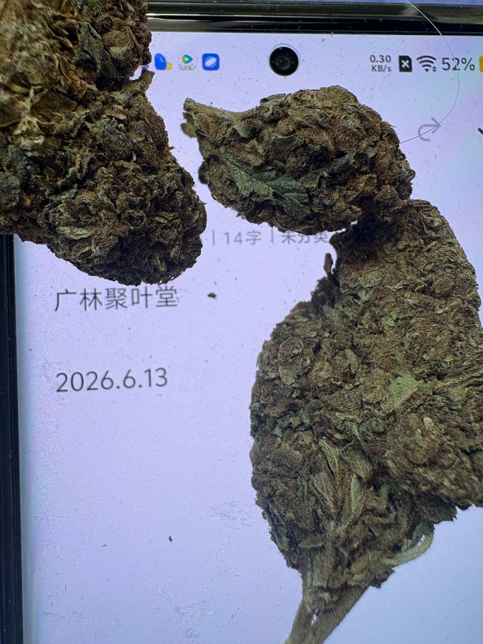 【长沙/武汉】UK Riot