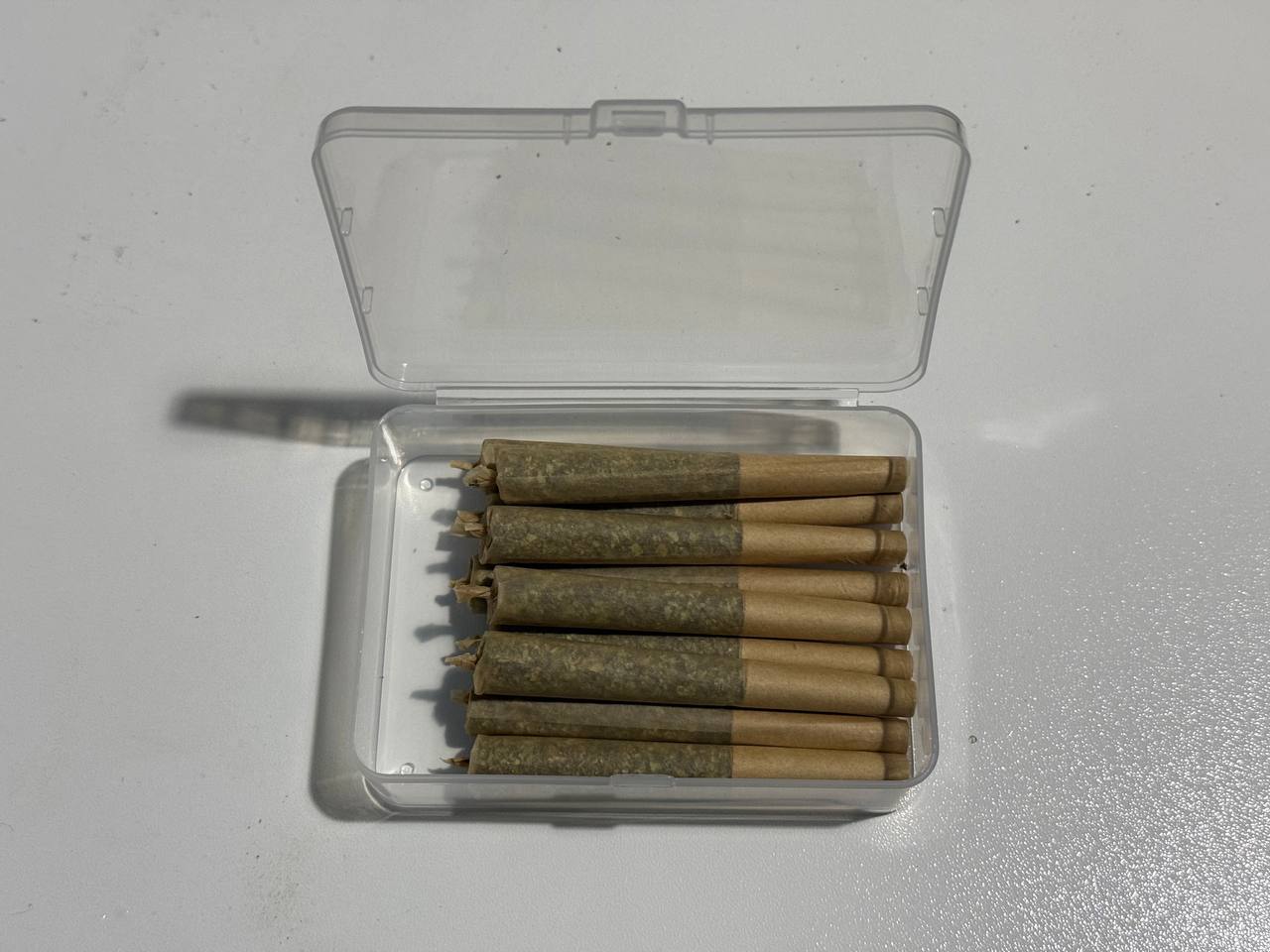 【重庆】White Gummy（白软糖）