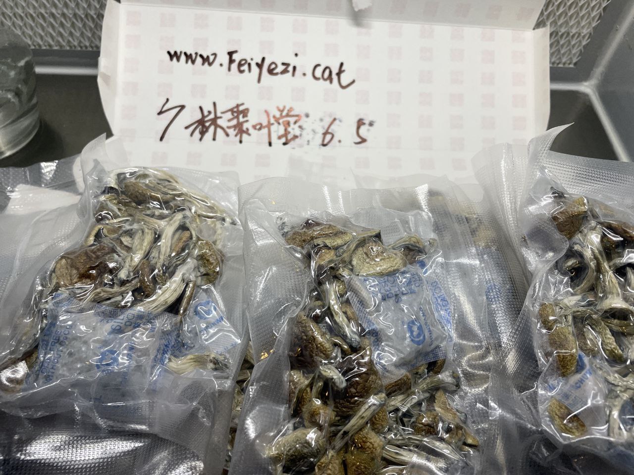 【福建】迷幻蘑菇