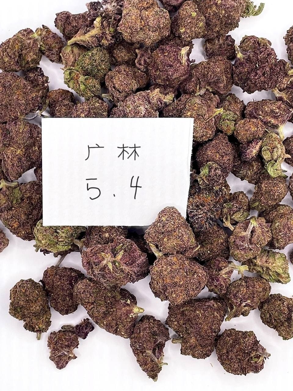 【成都 重庆】进口热带炸弹