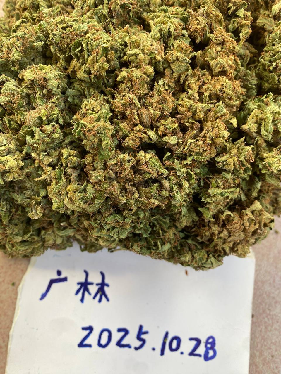 【广东】广州/佛山国产 Oreoz