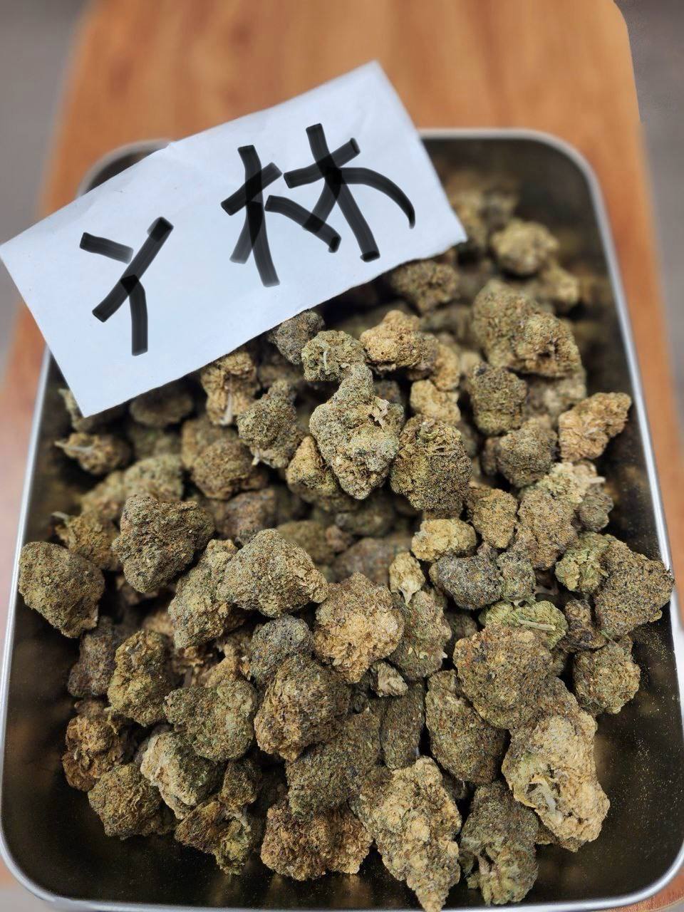 【广东】🌿 PurpleMimosa