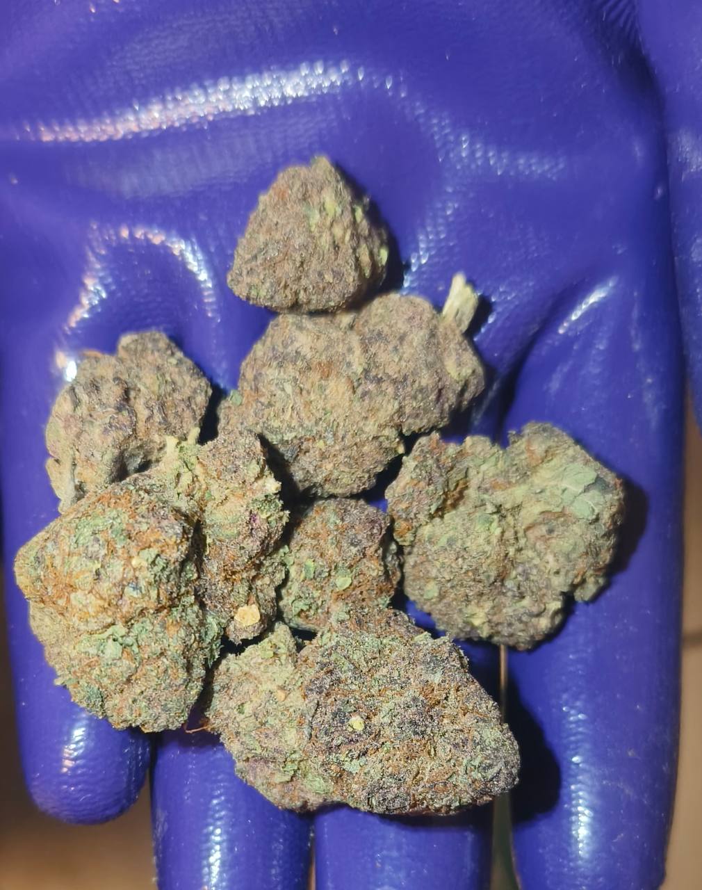 【广州/深圳】进口蓝莓