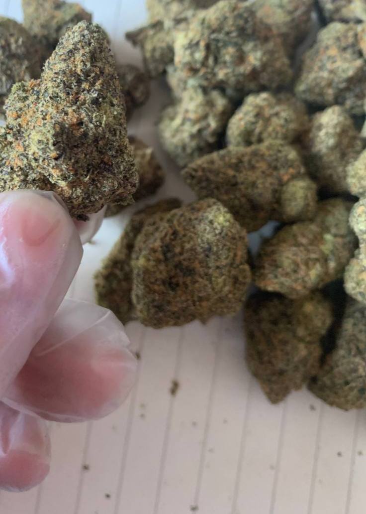 【成都】进口Purple Punch