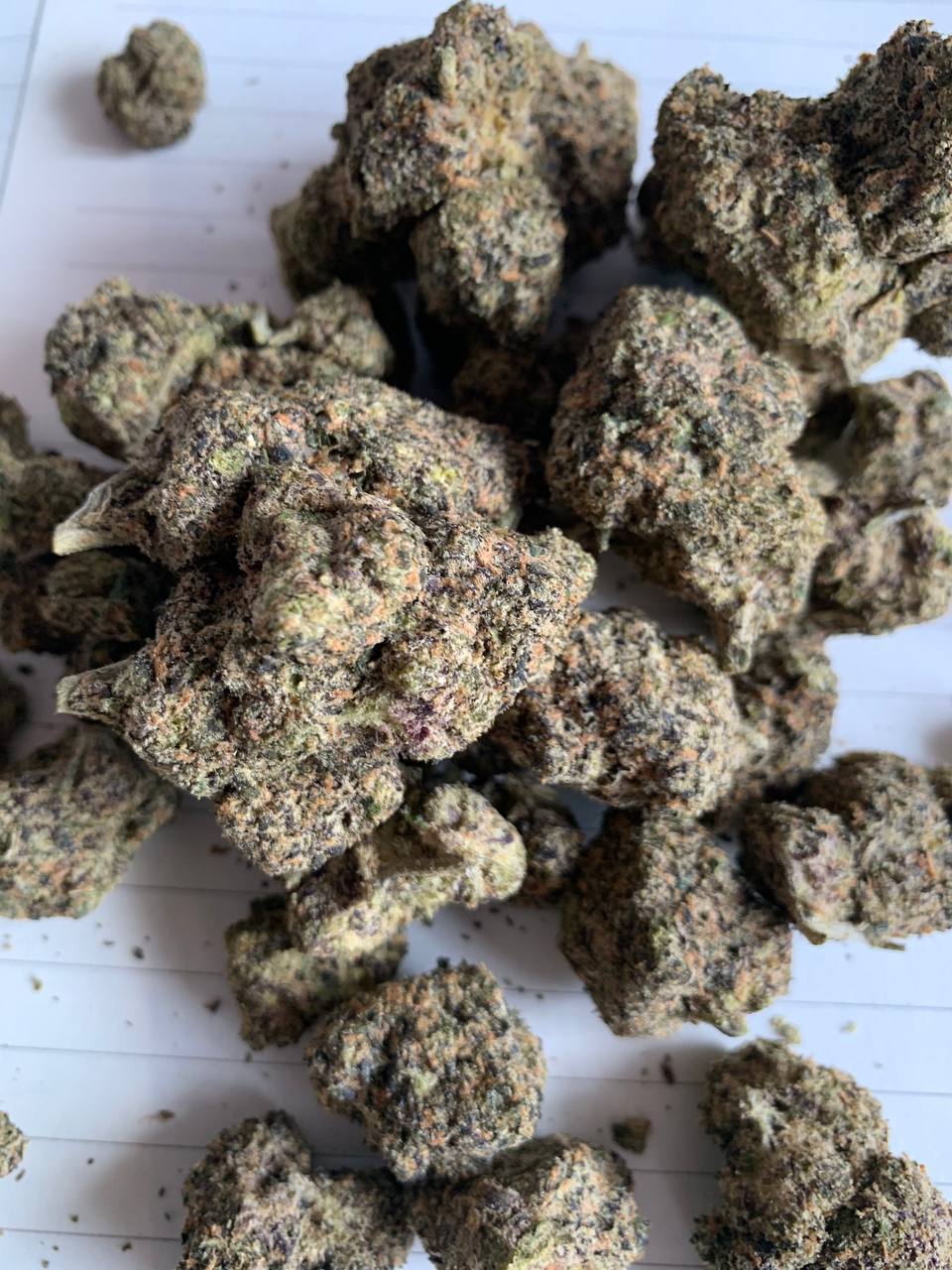 【济南】green buntz