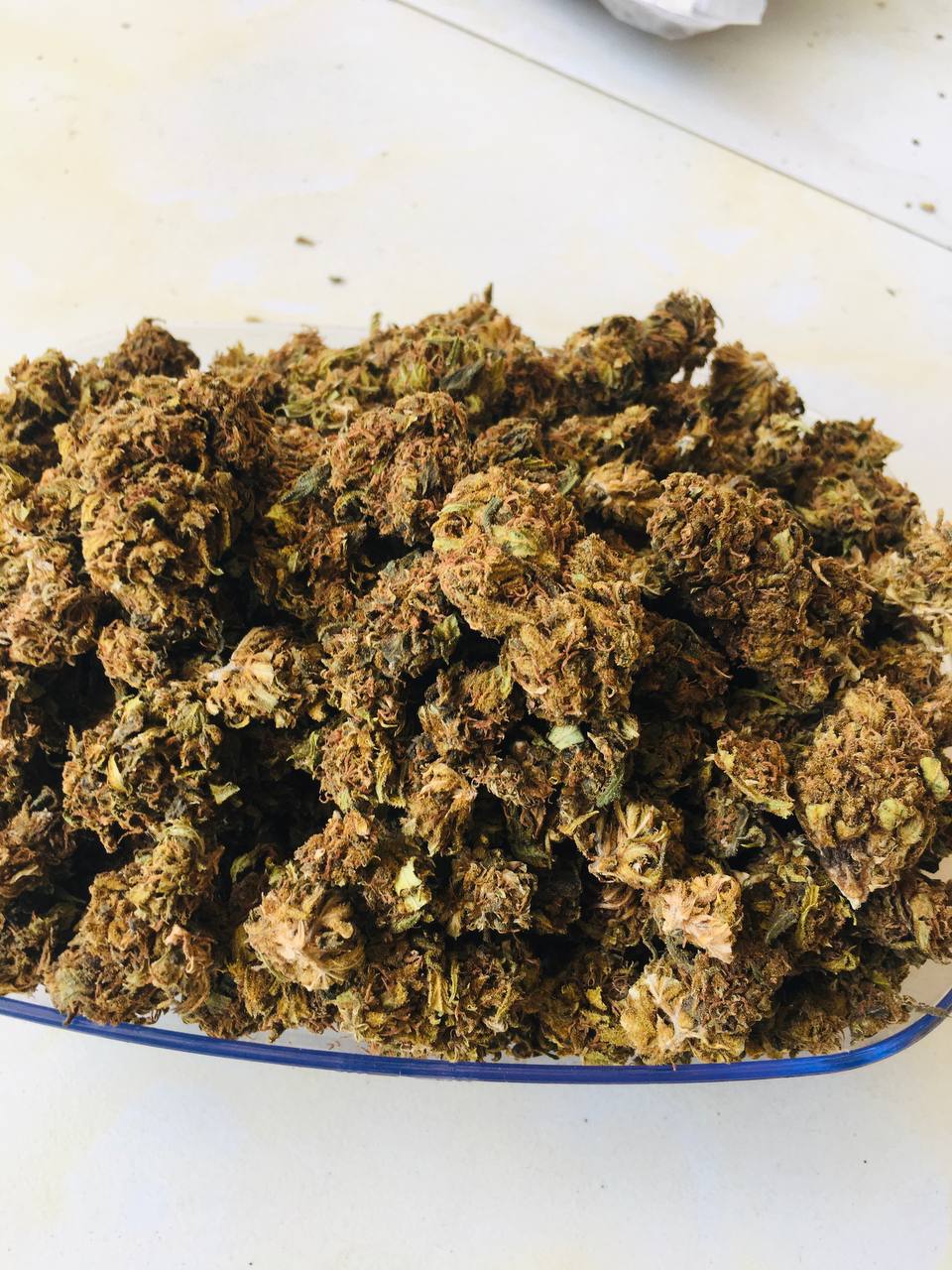 【湖南】国产蓝梦