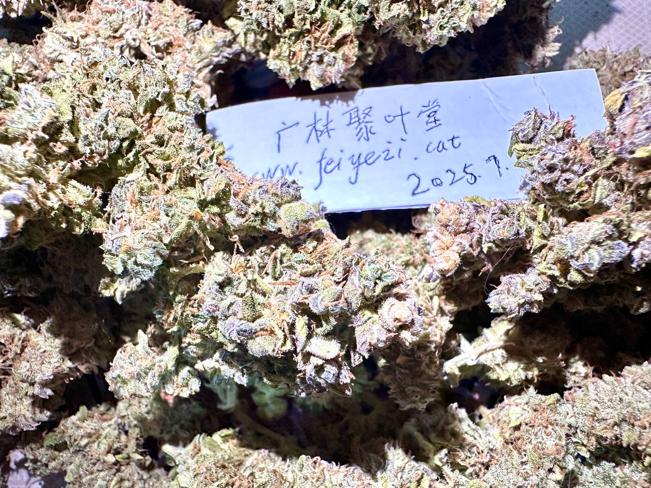 【南京】国产HulkBerry