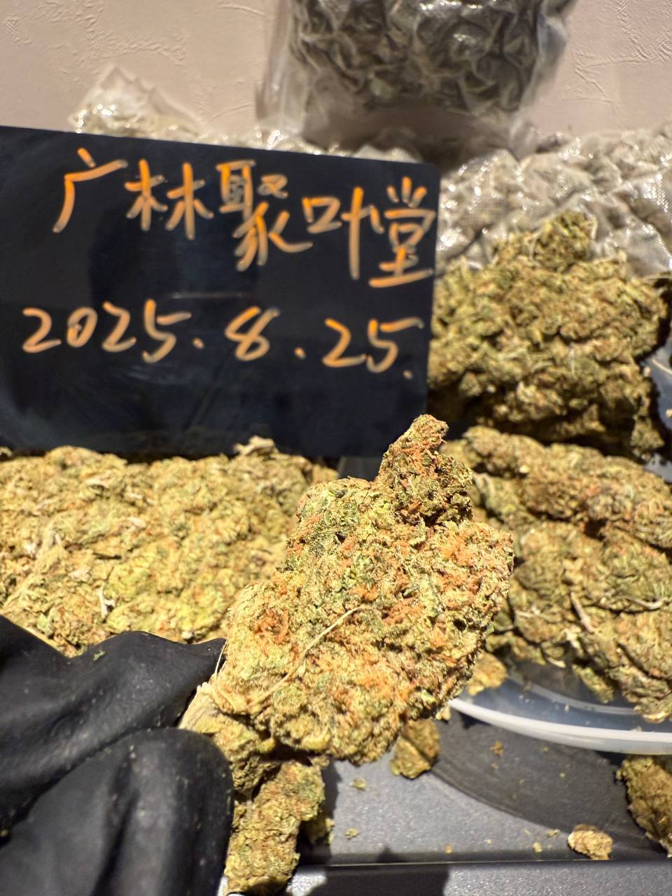 【南京】进口Gelato