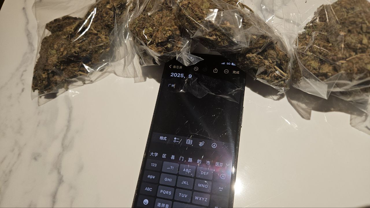 【成都】国产大猩猩