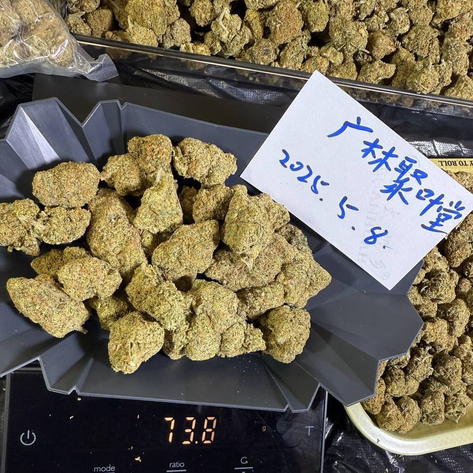 【上海/杭州】加拿大5A