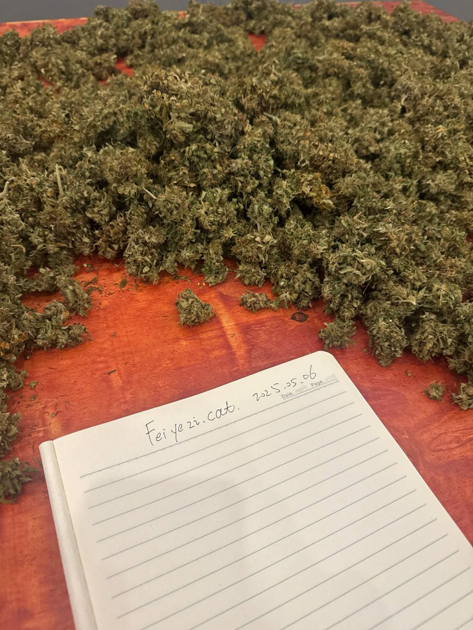 【成都】国产蓝梦