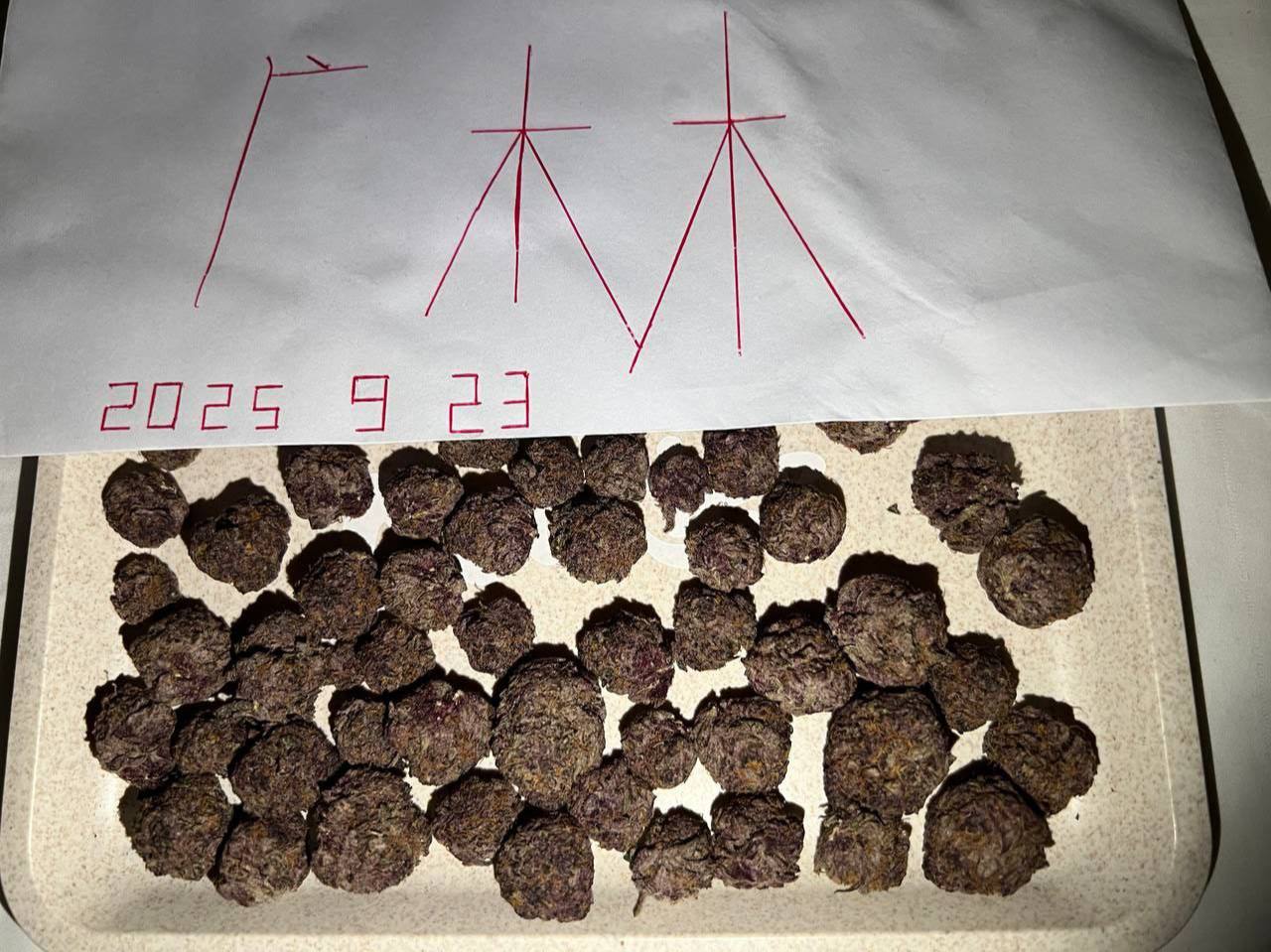 【成都】北美进口Purple Haze