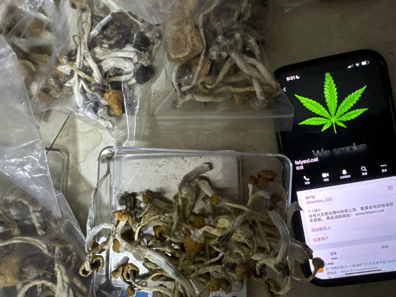 【成都】超級蘑菇混搭