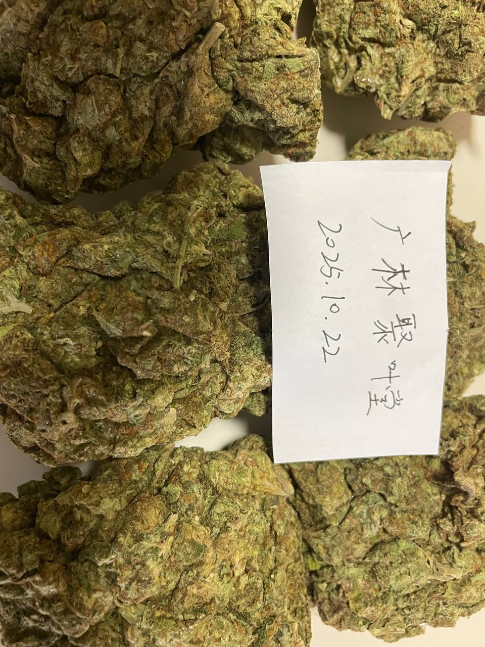 【成都】 成华，武侯，锦江