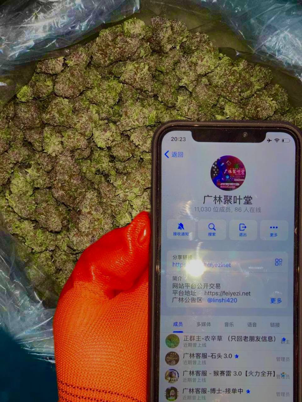 【河北】进口菠萝蜜桃