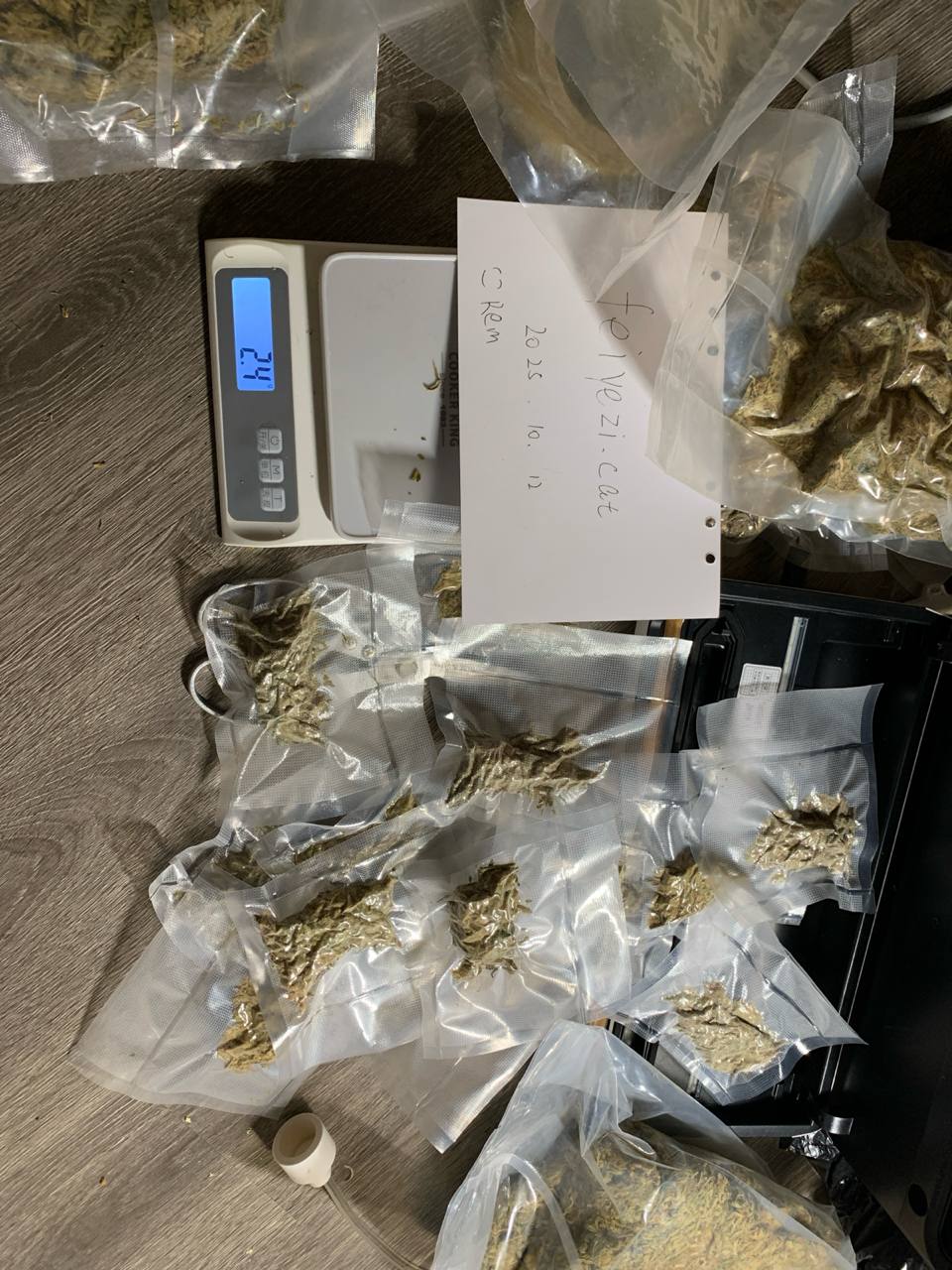 【重庆】国产菠萝快车