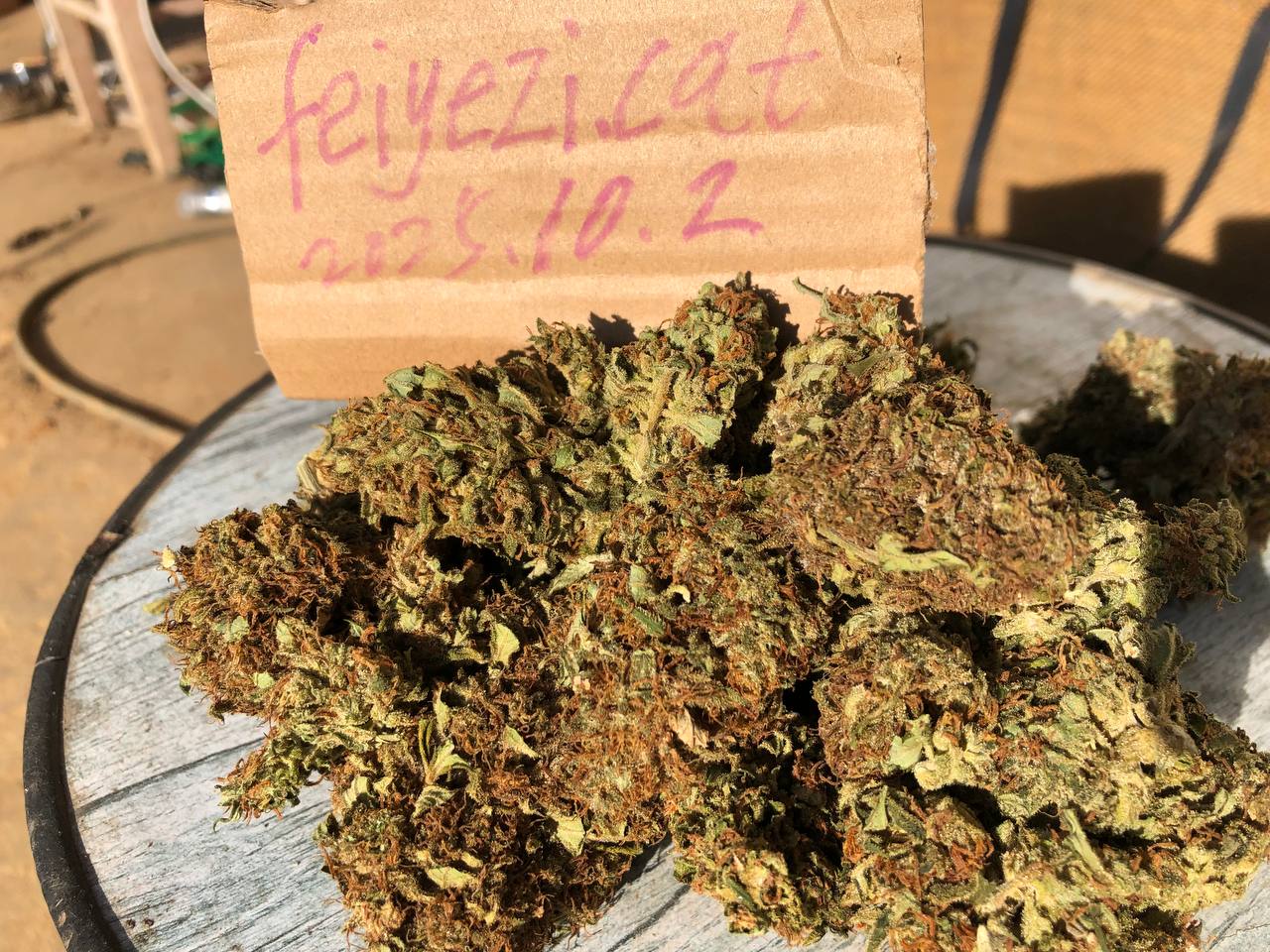 【重庆】国产蓝梦+oreos