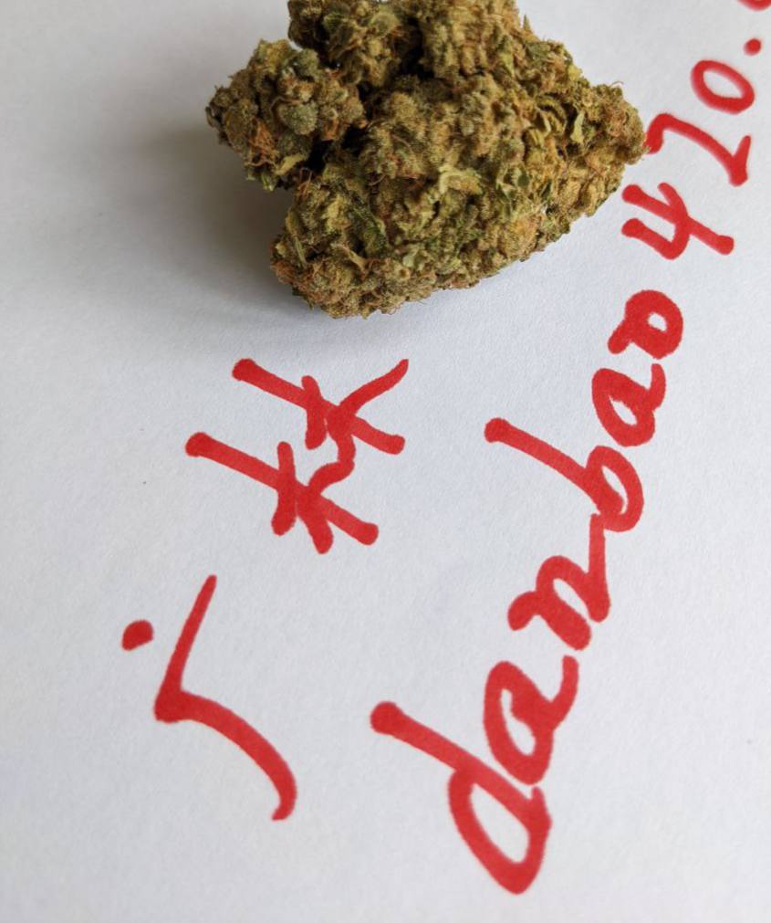 【重庆】国产og kush2