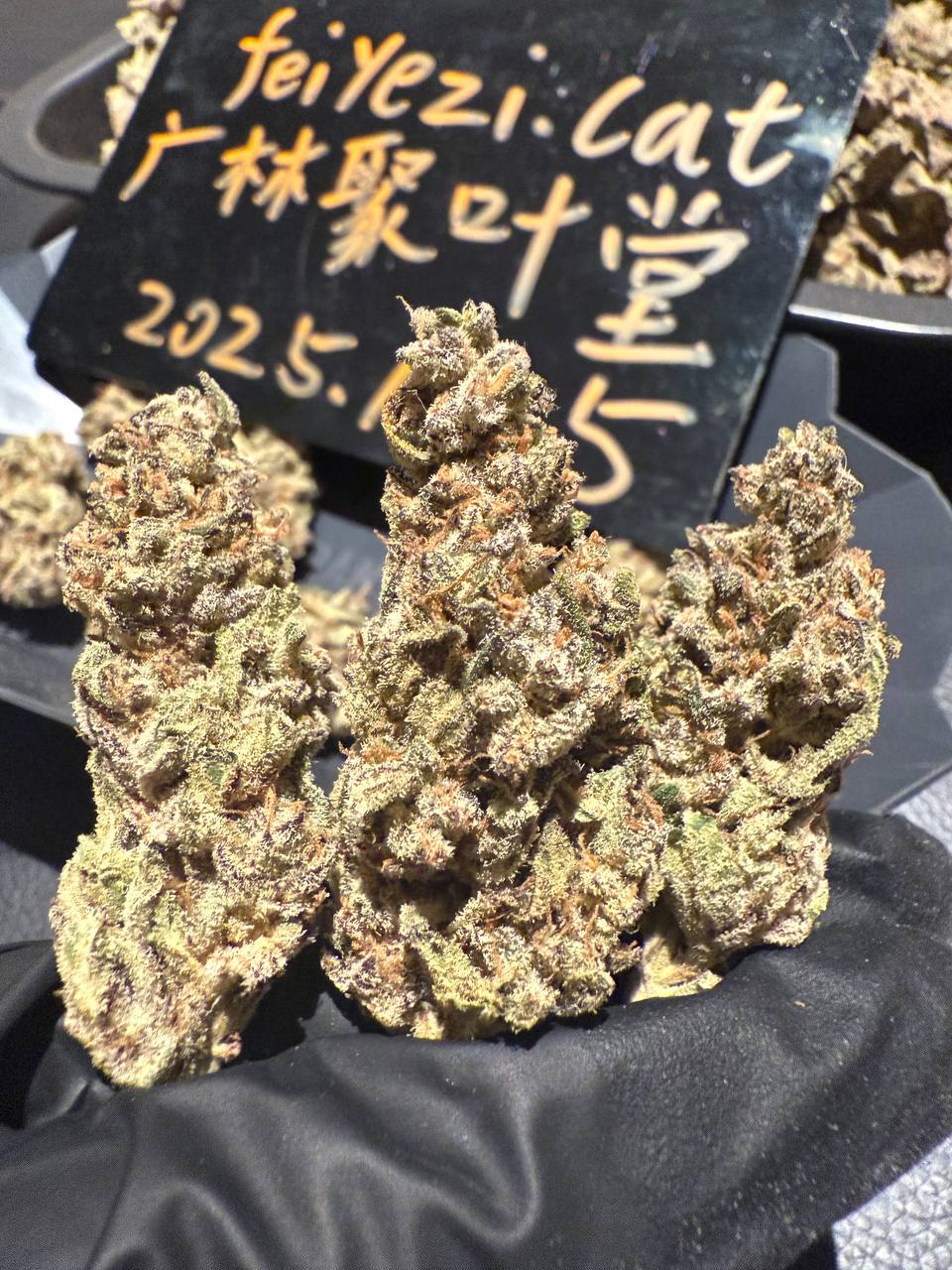 【广东】进口Amnesia Haze