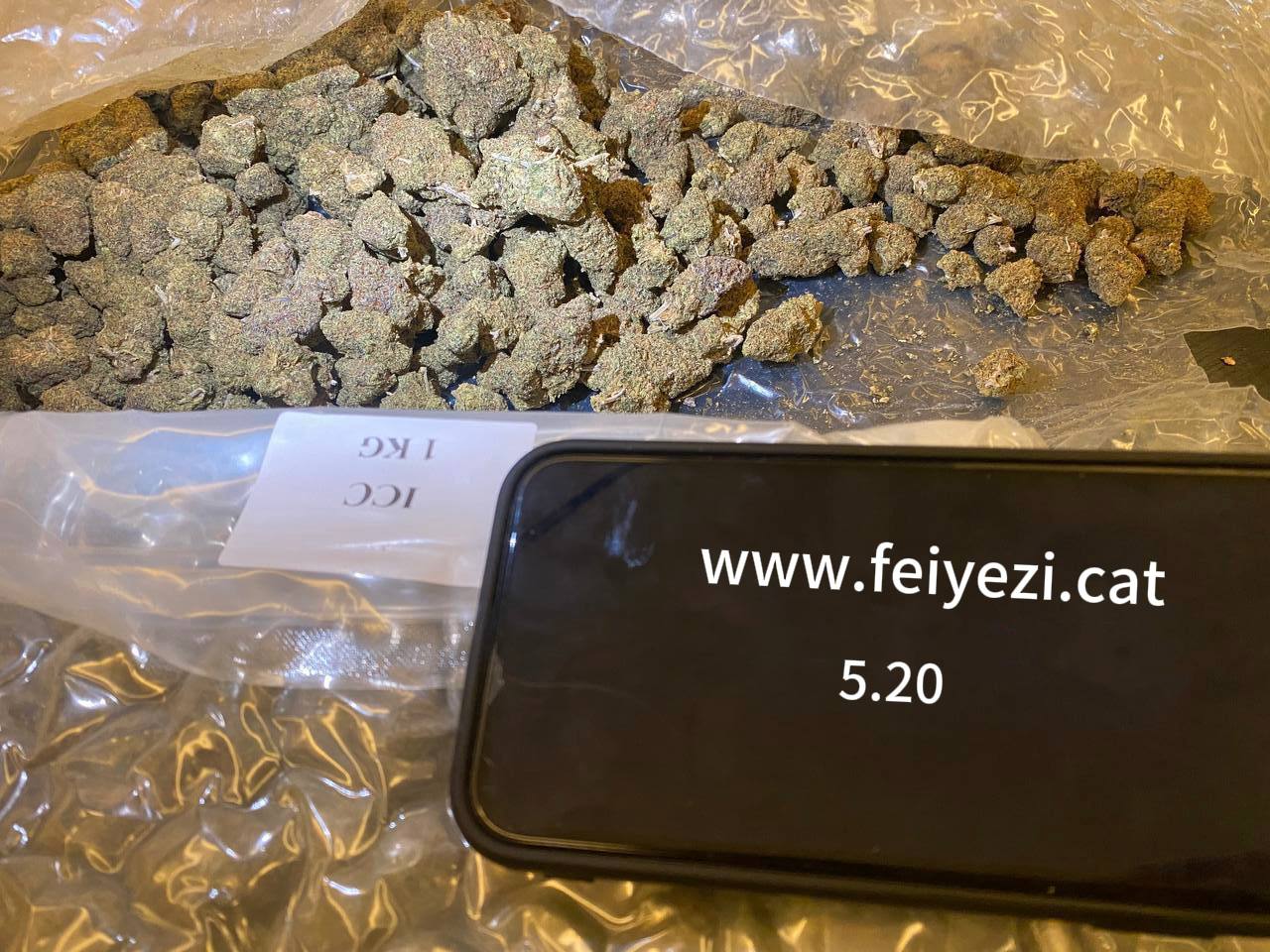 【广东】进口饼干