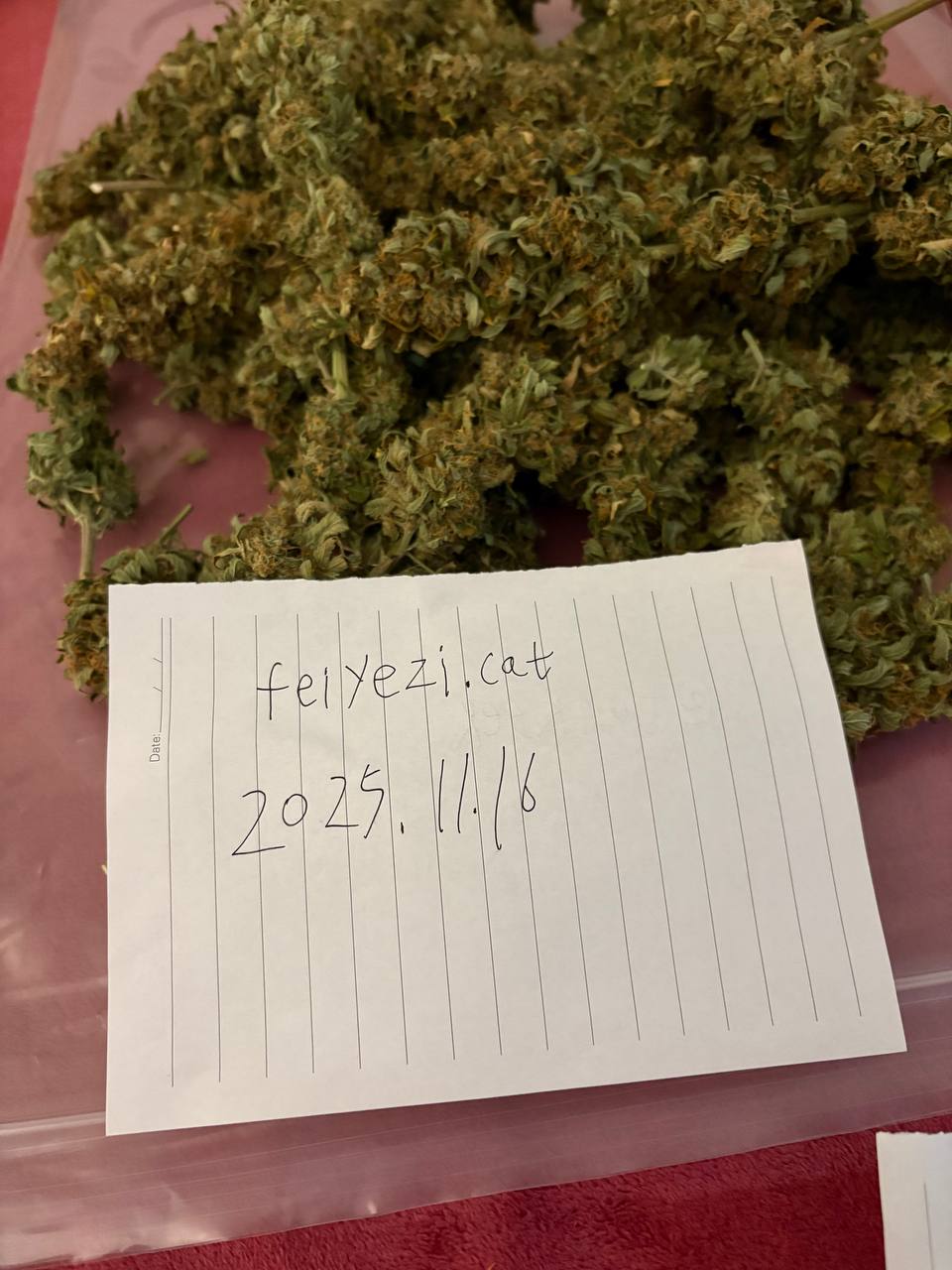 【河北】皇家饼干