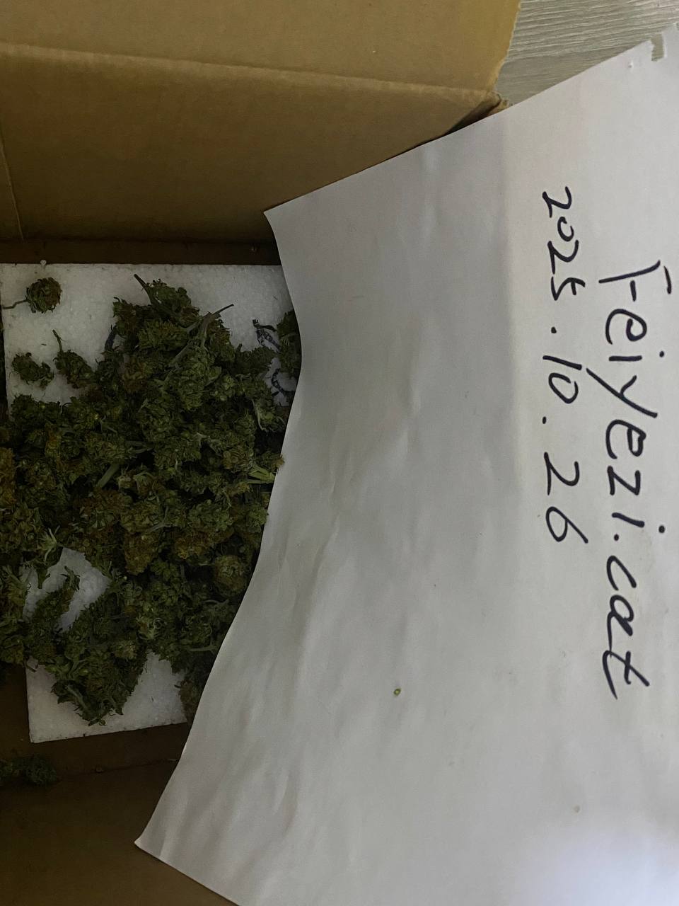 【广东】中山 佛山 廣州 珠海