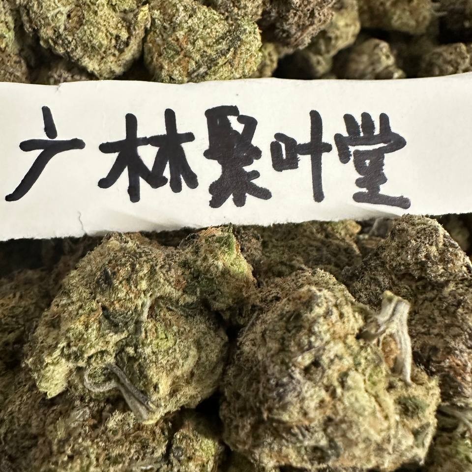 【广东】5A级进口