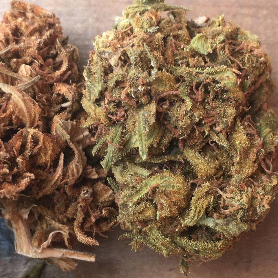 【广西】经典蓝梦