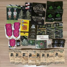 【国内发】进口种子